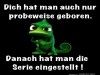 weiter