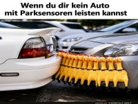 Gummih�hner als Parksensorersatz