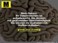 Gehirn