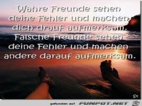 wahre Freunde 