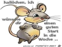 Halloechen ich wuensche