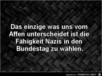 Besondere Fähigkeit