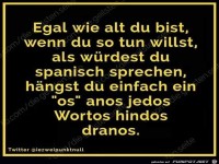 Spanisch f�r Anf�nger