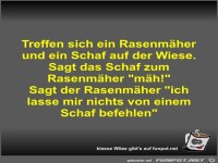 Treffen sich ein Rasenm�her und ein Schaf auf der Wiese