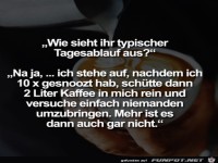 Typischer Tagesablauf