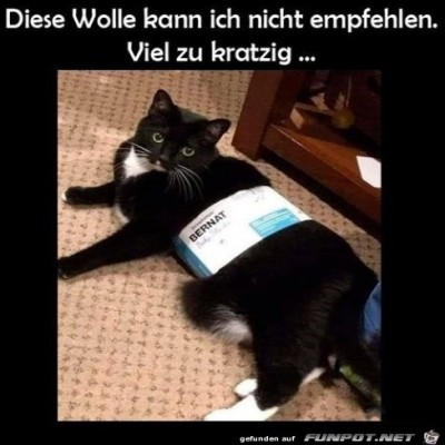 Wolle-kratzt.jpg von Theda
