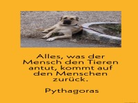 Alles was der Mensch