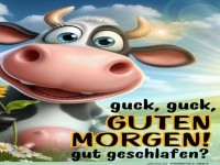 Guten Morgen