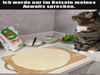 Ohne Anwalt sage ich nichts