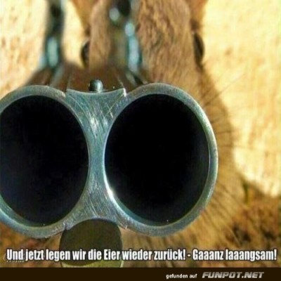 Hase-mit-Gewehr-im-Visier.jpg von Mina