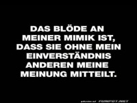 Wenn die Mimik die Meinung verrt