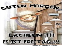 Frhlicher Start in den Freitag