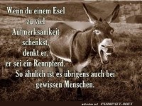 Weisheit �ber Esel und Aufmerksamkeit
