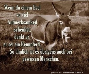 Weisheit-über-Esel-und-Aufmerksamkeit.jpg auf www.funpot.net