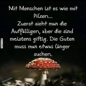 Pilze-des-Lebens:-Auf-die-Guten-hoffen!.jpg von Joe2007