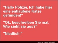 Die ultimative Katzendefinition!