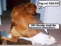 Hund gewinnt die Debatte um Haustiere