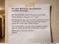 Fr�he V�gel oder laute Hunde?