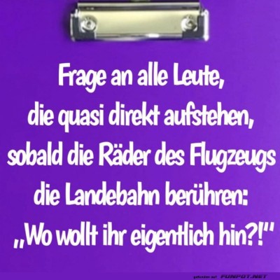 Wo-geht's-denn-hin?.jpg von Nele68