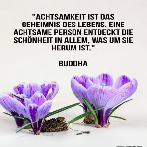 achtsamkeit-ist-das-geheimnis.png von Fabioma