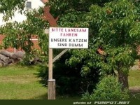 Bitte langsam fahren