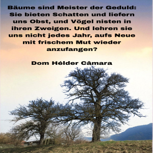 b�ume-sind-meister.png von Fabioma