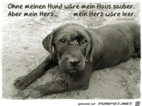 ohne meinen Hund