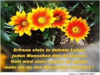 Erfreue in deinem Leben 1