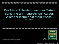 Der Mensch besteht...