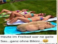 Geile Sau