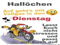 Auf gehts mit Vollgas