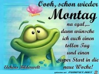 Oh schon wieder Montag