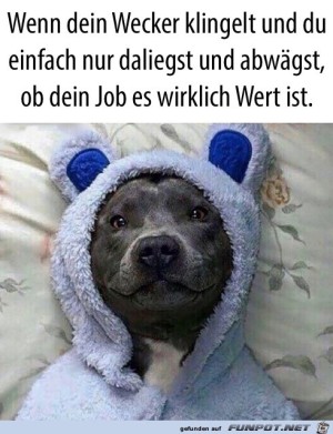 Wenn-der-Wecker-klingelt.jpg auf www.funpot.net