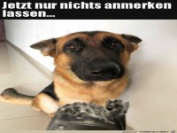 Nichts anmerken lassen