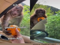 Freude �ber gelben Schein