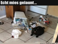 Mies gelaunt