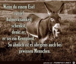 Ein-Esel.jpg auf www.funpot.net