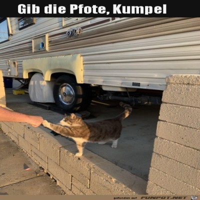 High-Five.jpg von Lou