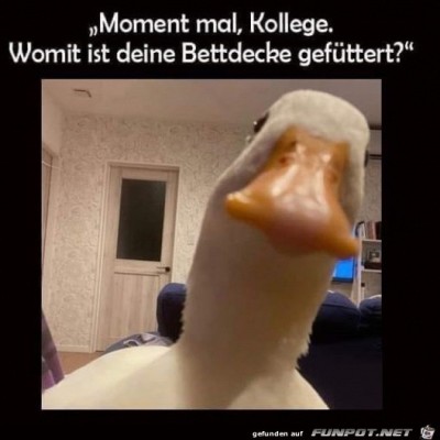 Moment-Kollege.jpg von Leya
