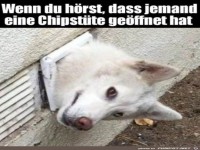 Was h�re ich da?