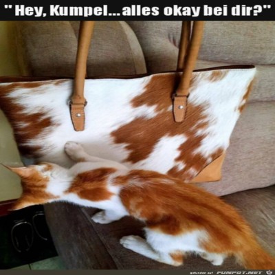 Was-ist-da-los?.jpg von Sena