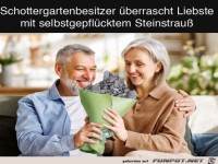 Steinstrau�