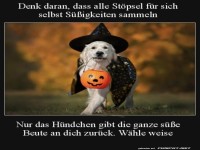 W�hle weise