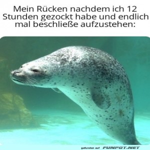 fun-Bild: Mein Rücken