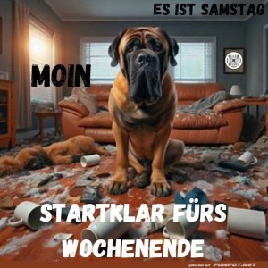 Hund-im-Chaos:-Startklar-frs-Wochenende.jpg von Celina93