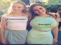 Einkommen und Steuern Meme