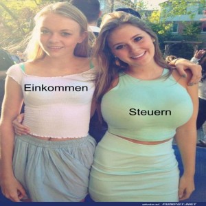 Einkommen-und-Steuern-Meme.jpg von Talea1993