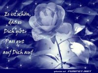 Blaue Rose mit liebevoller Botschaft