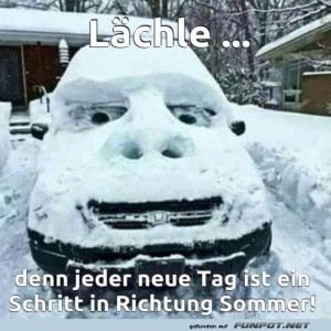 fun-Bild: Frostiges L&auml;cheln auf vier R&auml;dern