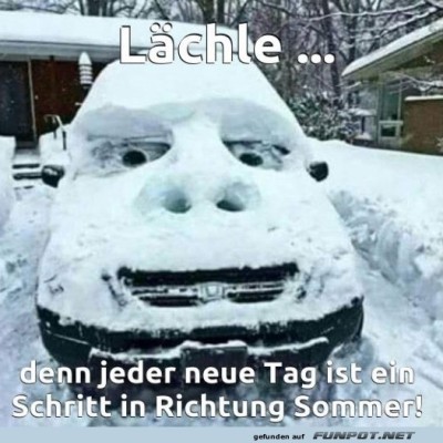 Frostiges-L&auml;cheln-auf-vier-R&auml;dern.jpg von Jannik-22